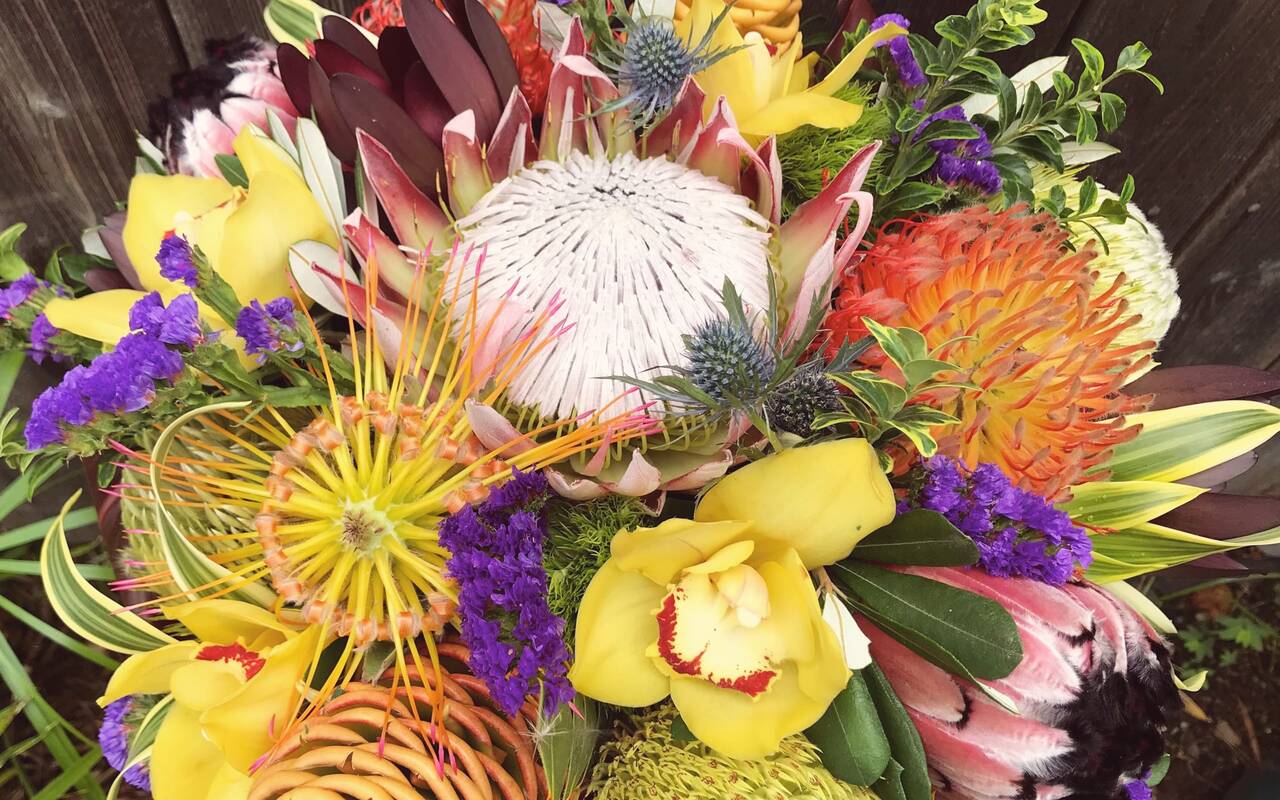 A tall mixed bouquet of protea, pincushions, yellow orchids and purple statice, packed tight in full sun